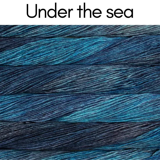 Malabrigo Caprino